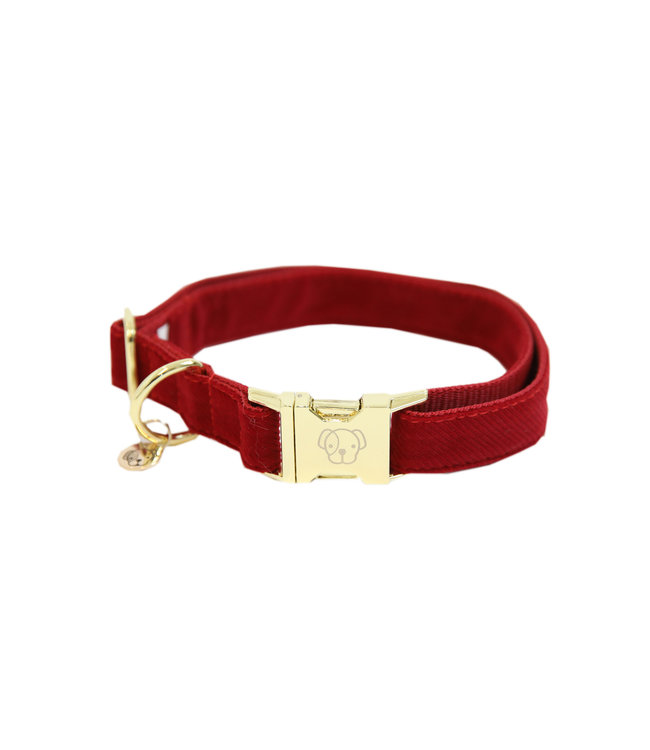 Halsband Corduroy - Rood