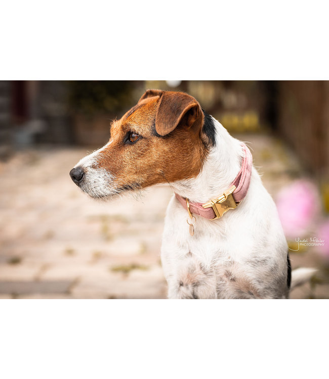 Halsband Velvet - Oud Roze