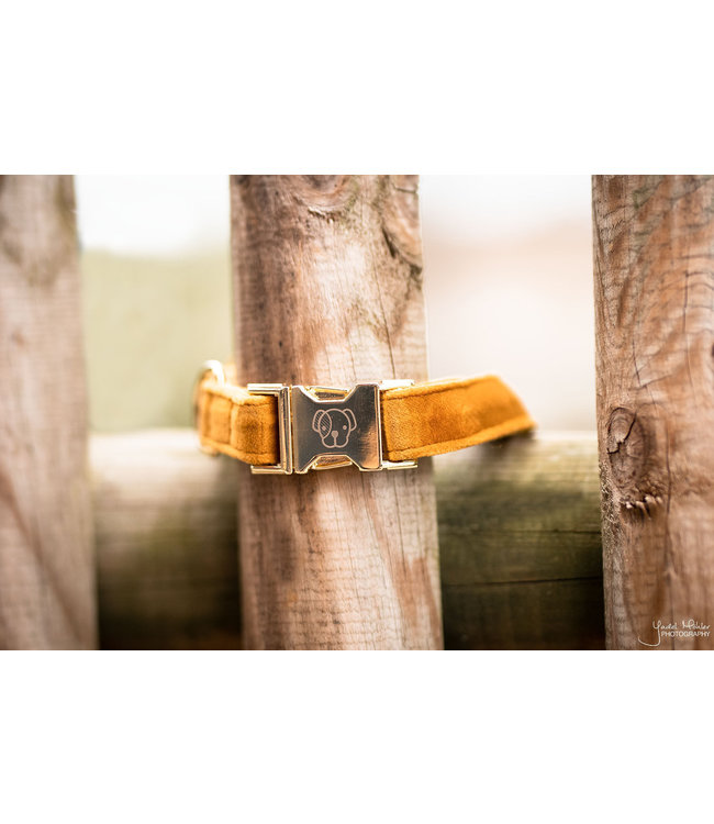 Halsband Velvet - Mosterd