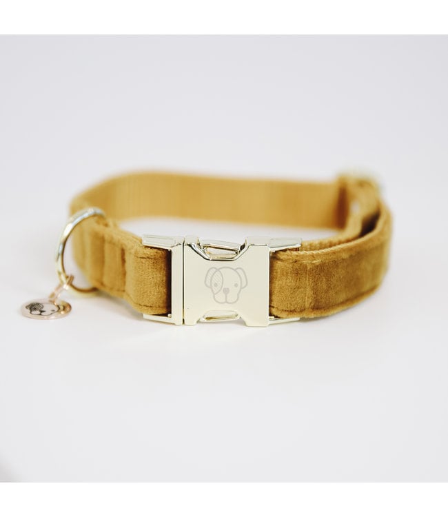 Halsband Velvet - Mosterd