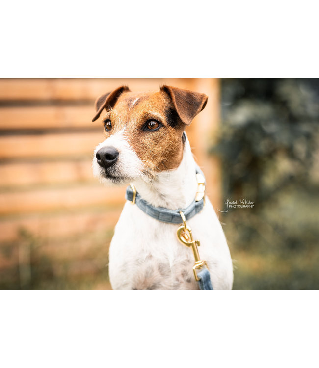 Leiband Velvet - Lichtblauw