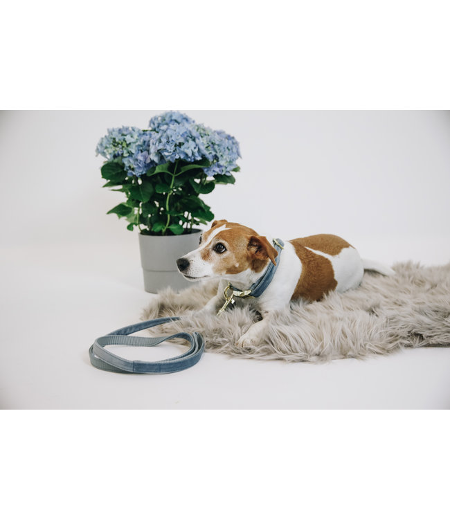 Leiband Velvet - Lichtblauw