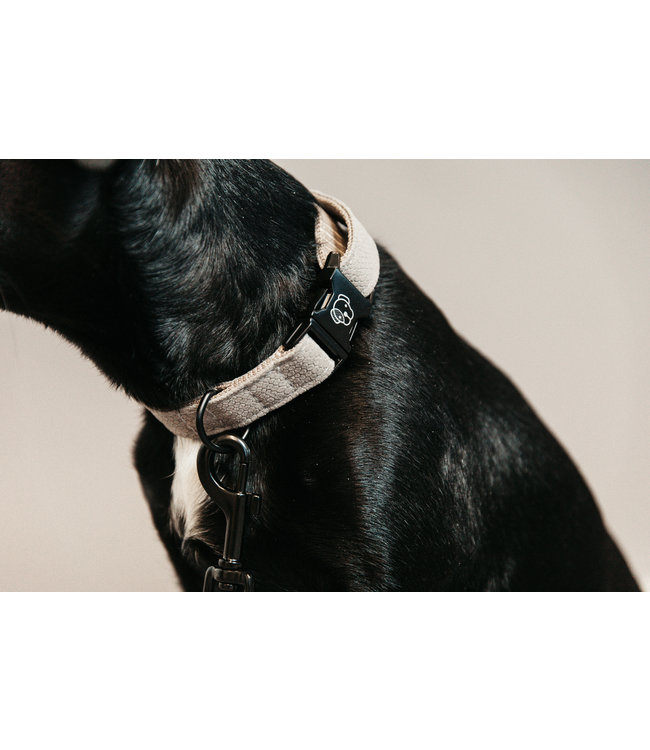 Halsband Hagedis Beige