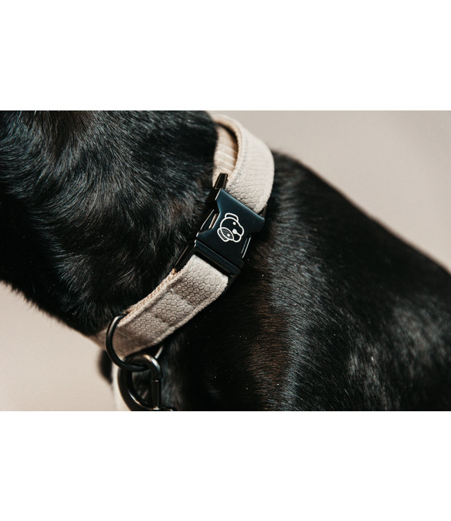 Halsband Hagedis Beige