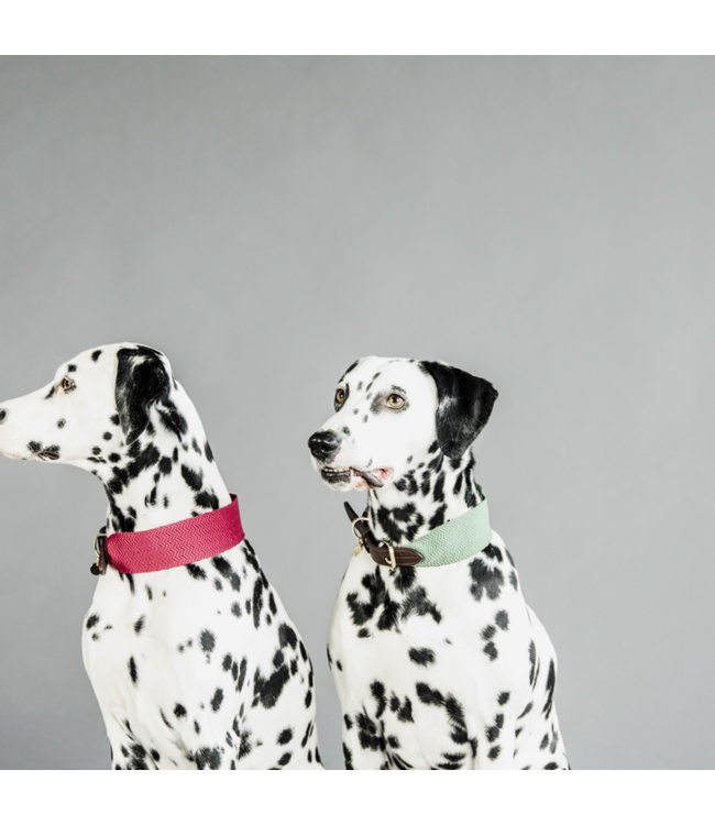 Halsband Jacquard - Lichtblauw