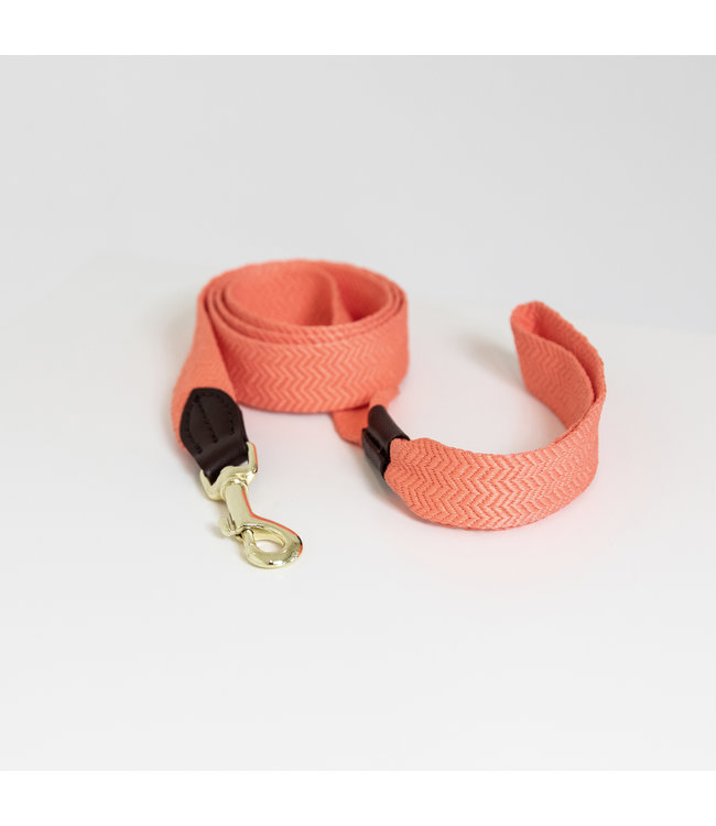 Hondenlijn Jacquard - Oranje