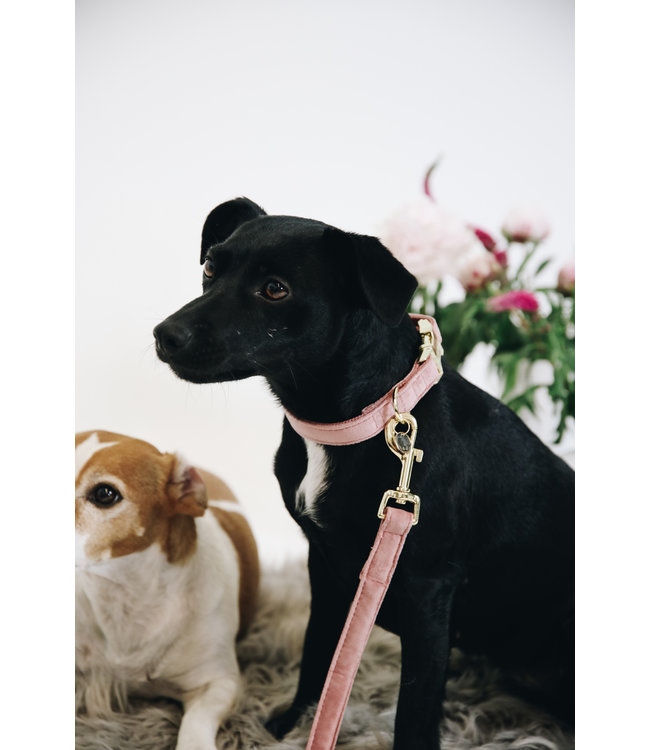 Leiband Velvet - Oud Roze