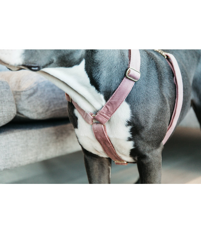Harnas Velvet - Oud Roze