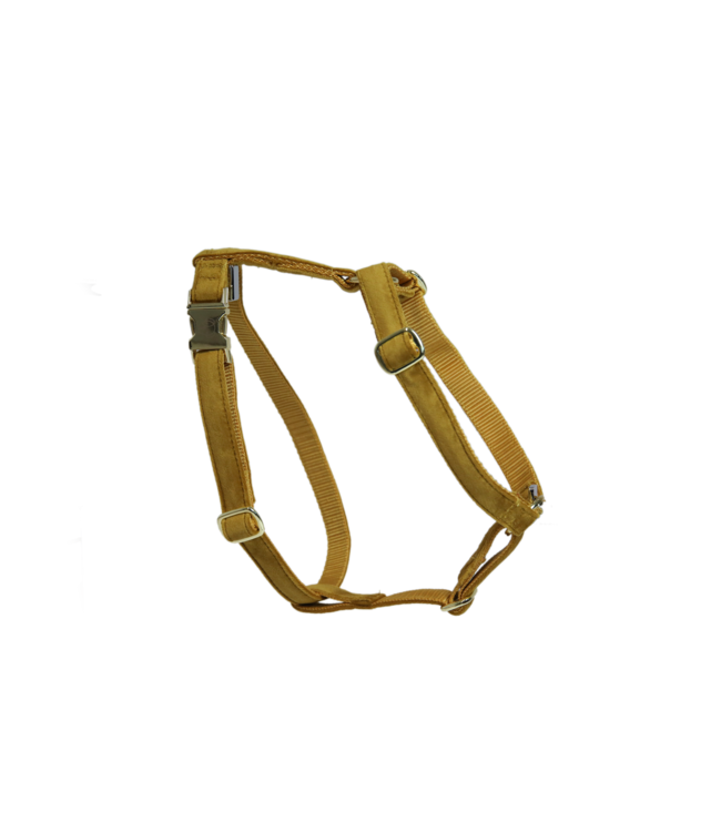 Harnas Velvet - Mosterd