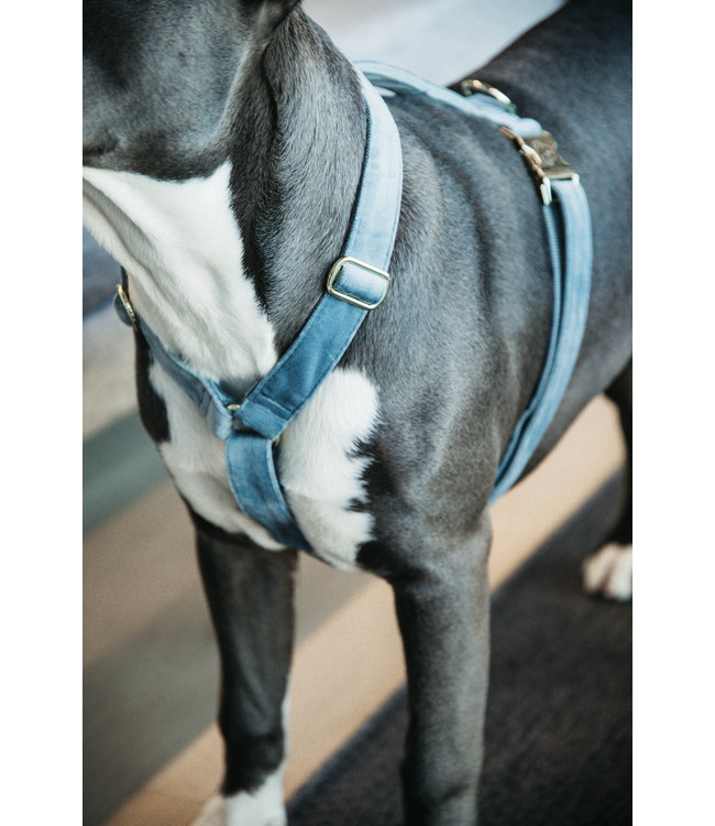 Harnas Velvet - Lichtblauw