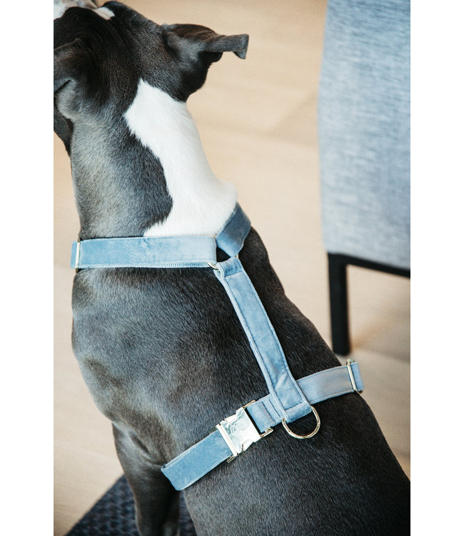 Harnas Velvet - Lichtblauw