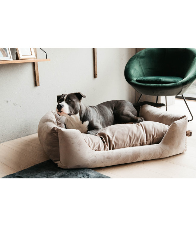 Hondenmand Velvet - beige