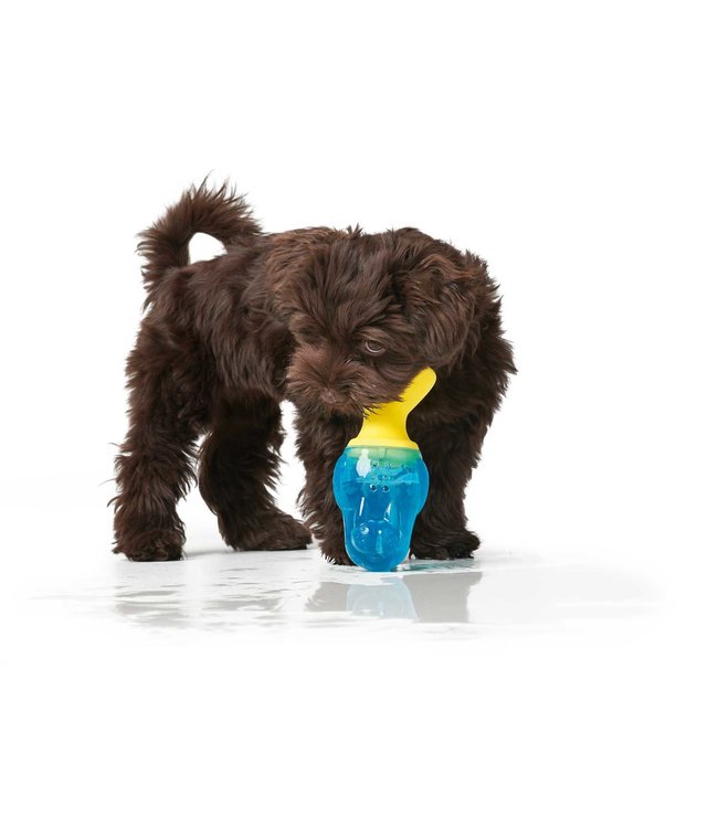 Hondenspeelgoed Aqua Alaska Walrus