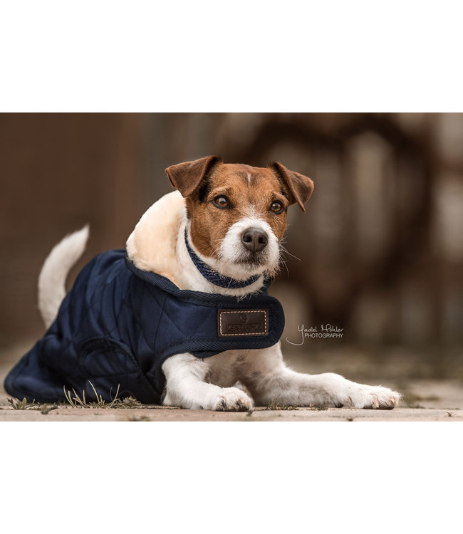 Hondenjas Original - Navy