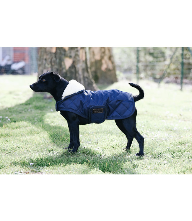 Hondenjas Original - Navy