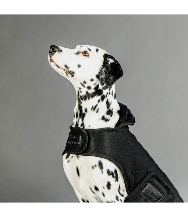 Hondenjas Original - Zwart