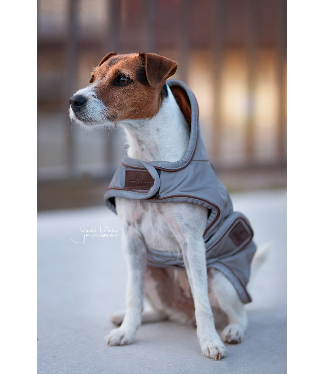 Hondenjas Reflecterend & waterafstotend