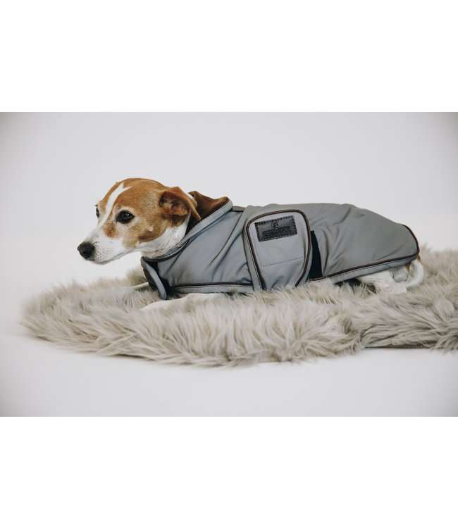 Hondenjas Reflecterend & waterafstotend