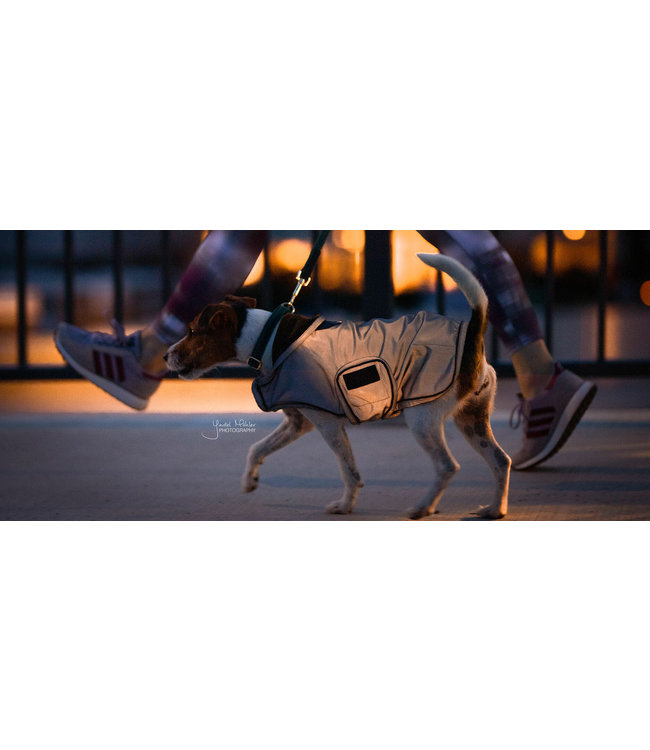 Hondenjas Reflecterend & waterafstotend