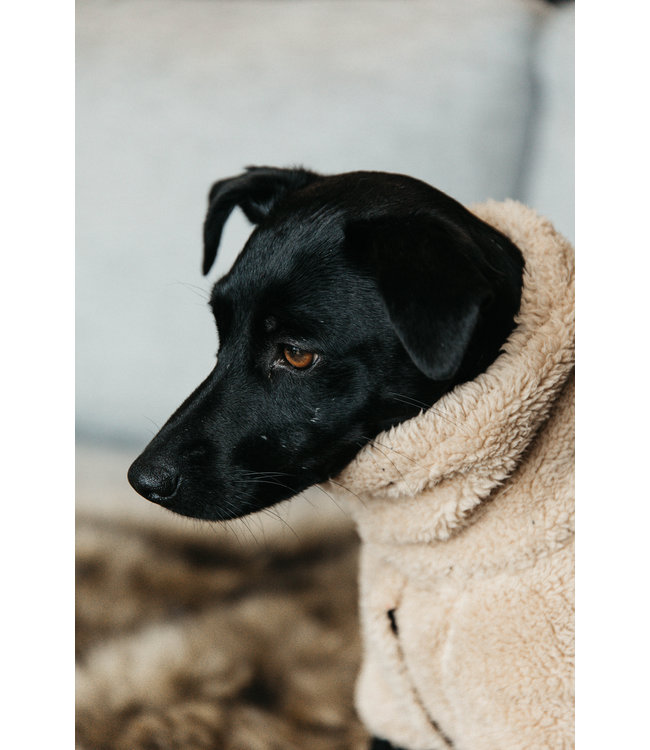 Hondenjas Teddy Fleece - Beige