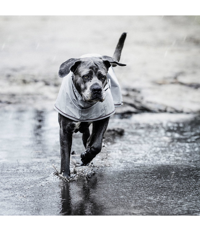 Hondenregenjas Dusty Blue