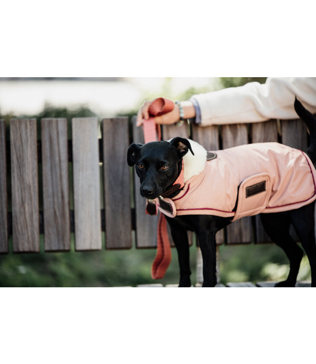 Hondenjas Waterproof - Koraal 160G