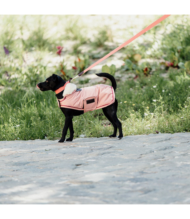 Hondenjas Waterproof - Koraal 160G