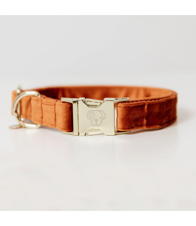 Halsband Velvet - Oranje