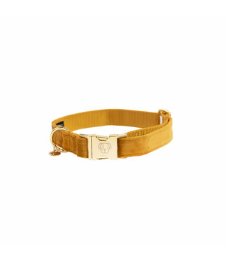 Kentucky Dogwear Halsband Velvet - Mosterd