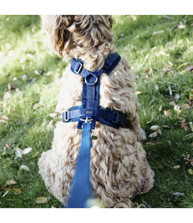 Harnas Active Velvet - Blauw