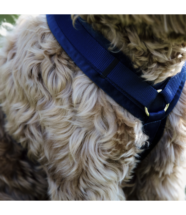 Harnas Active Velvet - Blauw