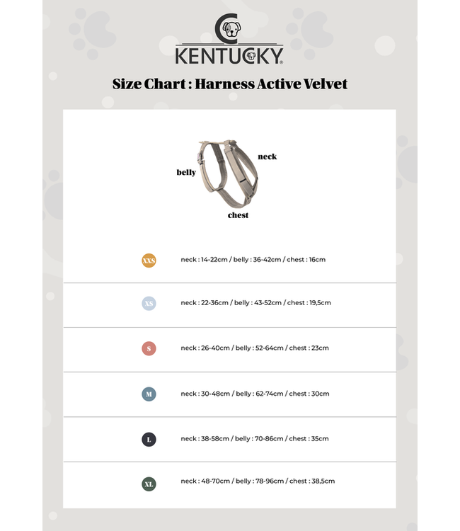 Harnas Active Velvet - Blauw