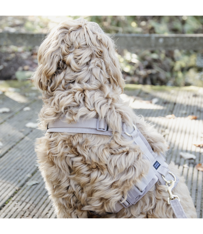 Harnas Active Velvet - Beige