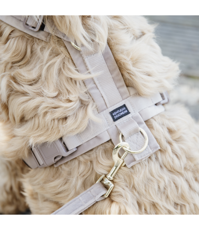 Harnas Active Velvet - Beige