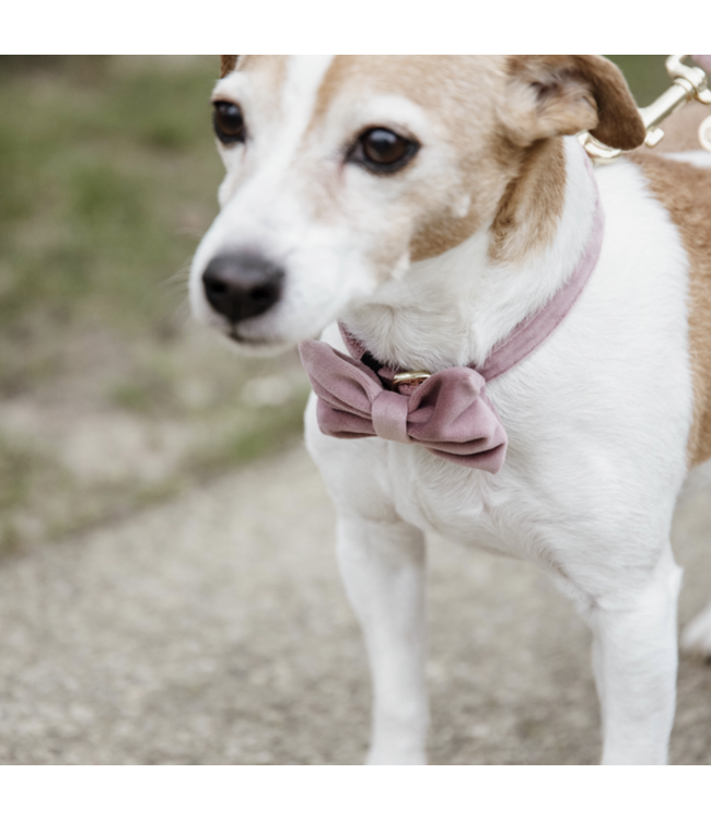 Hondenstrikje Velvet - Roze