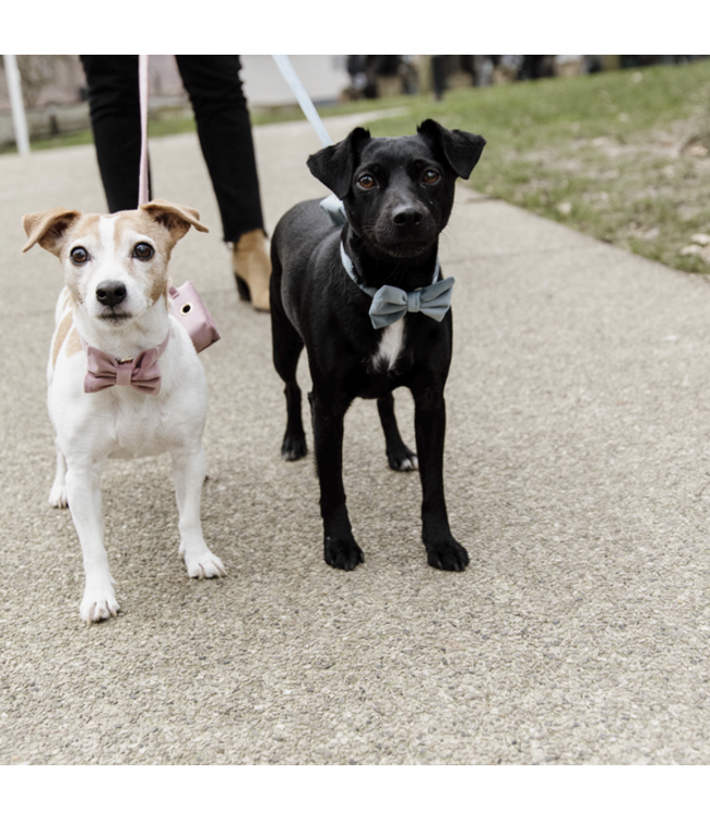 Hondenstrikje Velvet - Lichtblauw