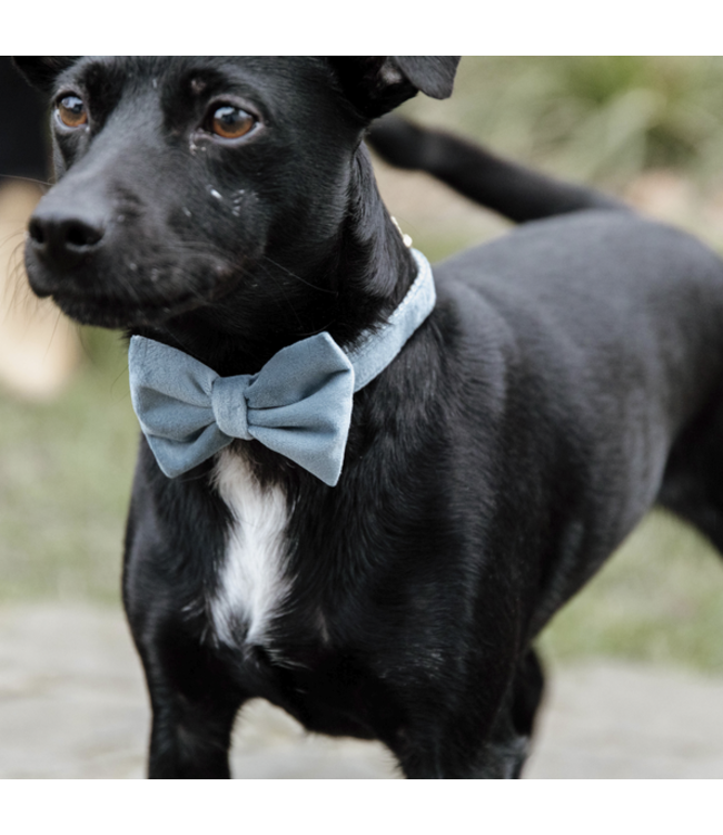 Hondenstrikje Velvet - Lichtblauw