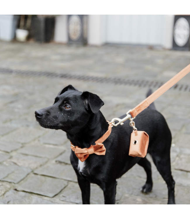 Hondenstrikje Velvet - Oranje