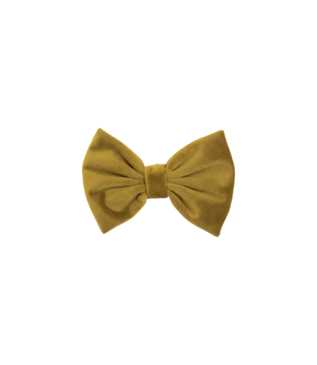 Hondenstrikje Velvet - Mosterd