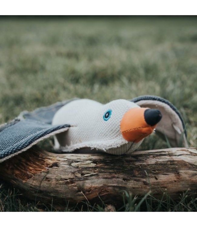 Hondenspeelgoed Zeemeeuw Canvas