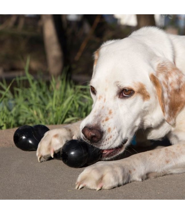 KONG® Extreme Goodie Bone™