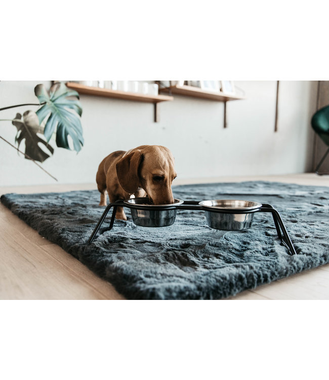 KentuckyDogwear Hondenbak Comfort Zwart