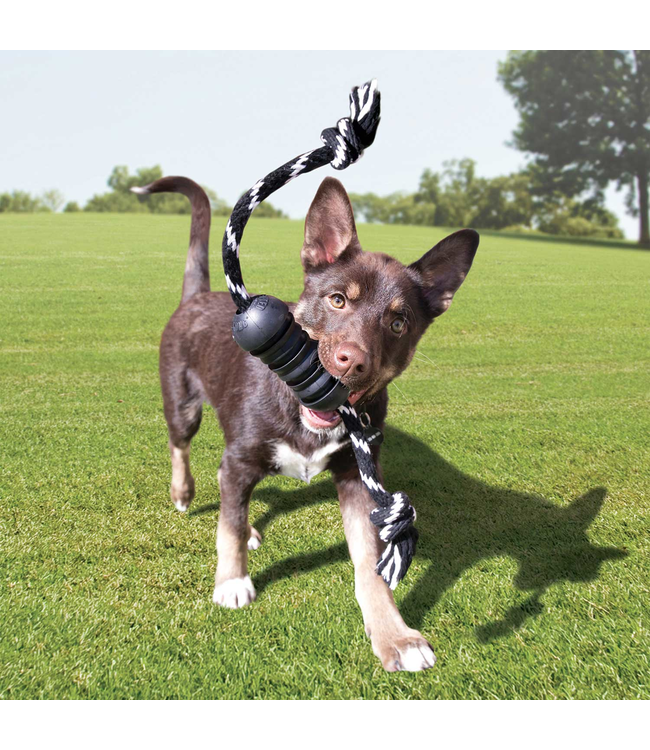 KONG Extreme Dental met touw