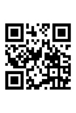 Nog niet gereviseerd - Perfecta bakwand friteuse bakplaat hoog rendement