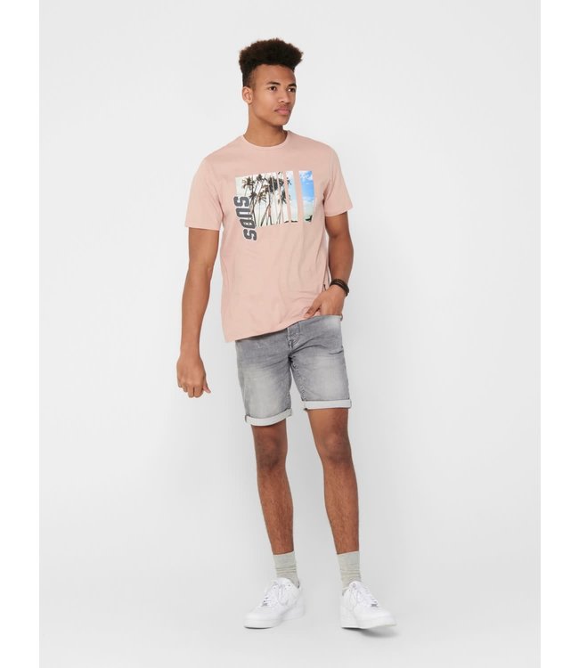 Only & Sons ONSINDIO REG SS TEE MISTY ROSE