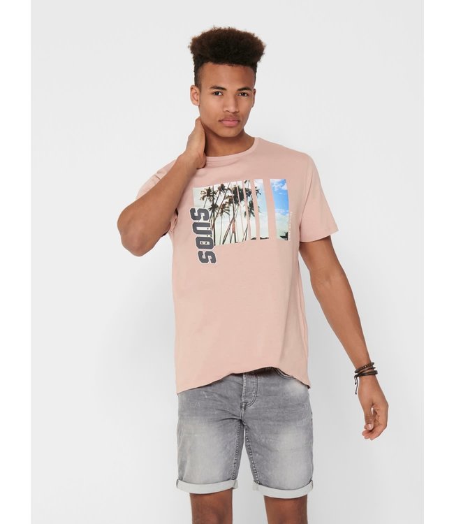 Only & Sons ONSINDIO REG SS TEE MISTY ROSE