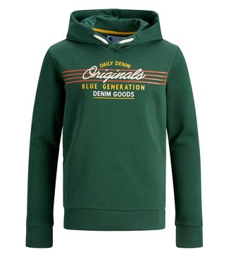 Jack & Jones Junior JORTONNI SWEAT HOOD JR TREKKING GREEN