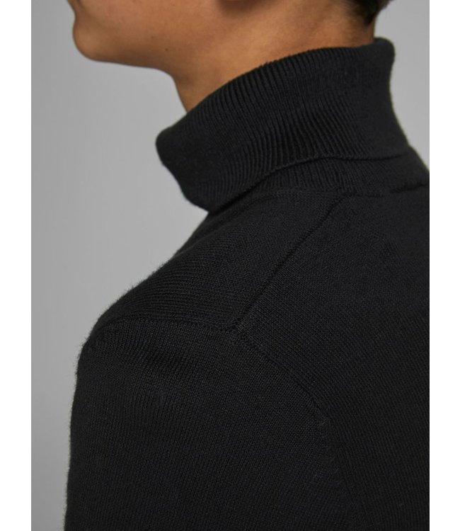 Jack & Jones Junior JJEEMIL KNIT ROLL NECK JR