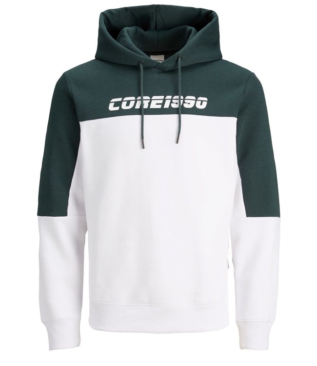 Jack & Jones Junior JCOASHER SWEAT HOOD JR