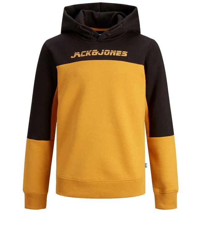 Jack & Jones Junior JCOASHER SWEAT HOOD JR
